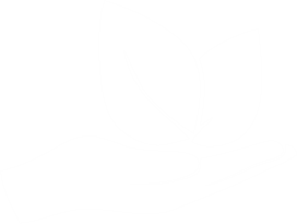Sustainability